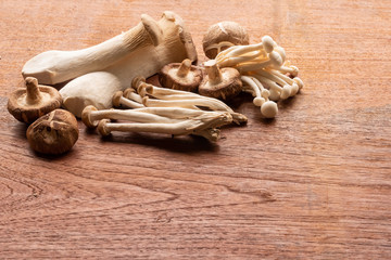 Mixed organic mushrooms on wooden table. copy space