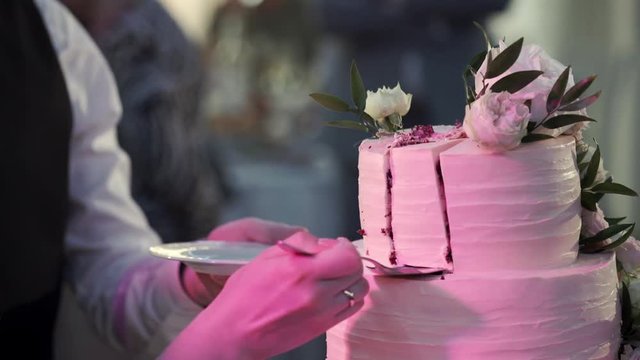 Bride and groom cutting wedding celebration cake