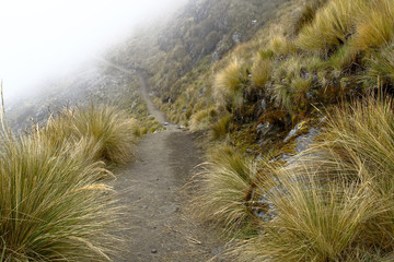 Mysterious view of the rural road surrounded by a dense fog in the Andean peaks.