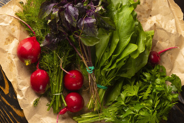 Bunches of fresh herbs of parsley, dill, basil, radish and sorrel lie on a plate covered a wrapping paper an old wooden table