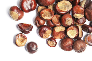 Chestnuts isolated on white background