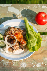grilled chicken legs with fresh vegetables. Picnic in garden. On greenery background.