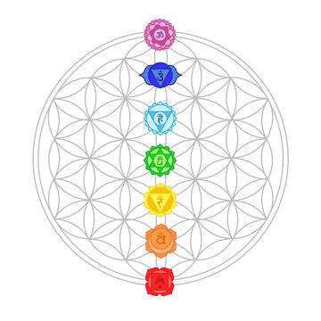 chakra signs with the flower of life - meditation, yoga, esoteric concept
