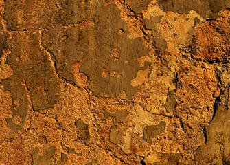 An old plaster on the wall.