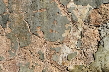 Fototapeta premium An old plaster on the wall.