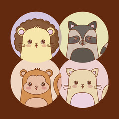 Kawaii animals desing