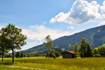 Alpine Shelter