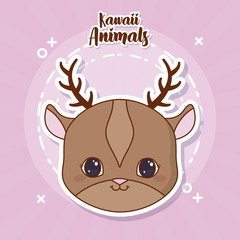 Kawaii animals design
