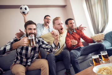 Fans of soccer watching match