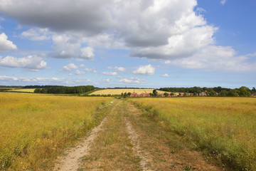 English countryside with village