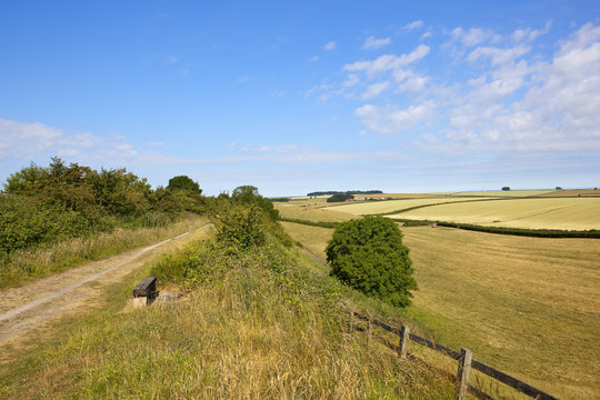 Kiplingcotes nature trail