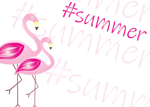 summer card - pink flamingos vector - summer theme