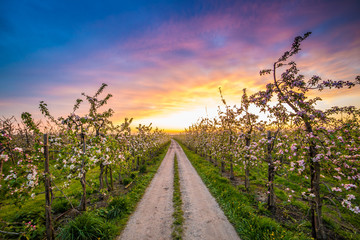 Naklejka premium Altes Land