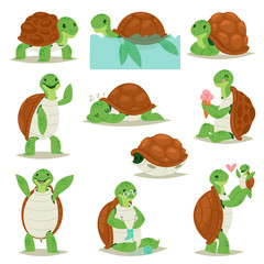 Turtle vector cartoon seaturtle character swimming in sea and sleeping tortoise in tortoise-shell illustration set of reptile hiding in turtle-shell isolated on white background