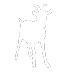 isolated goat outline with horns on white background