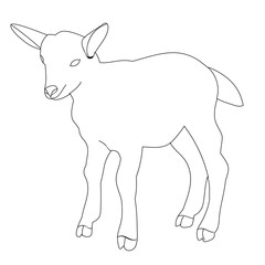 isolated sketch of goats
