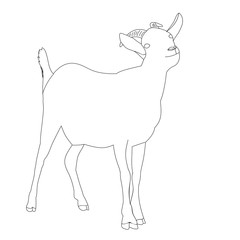 vector, isolated sketch of a goat is standing, on a white background