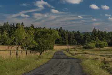 Road in Slavkovsky les mountains in summer sunset time