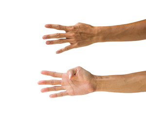 Clipping path hand gestures isolated on white background. Hand making number five sign or symbol gesture. Back and front hand gesture.