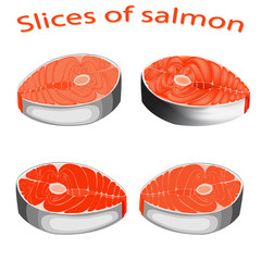 A piece of fish. Cut salmon slice. Steak salmon isolated on white background. Vector illustration of fish.