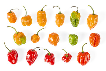Very hot Habanero chilies from Mexico Colorful peppers found in Yucatan, Mexico