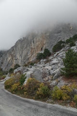 Winding mountain road on cloudy day / Winding mountain road in fog on cloudy day