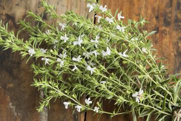 Summer Savory , Satureja Hortensis, Bunch