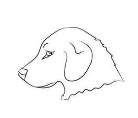 dog portrait, lines, vector
