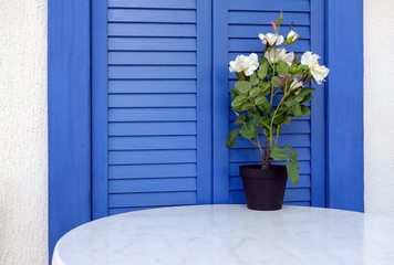 Beautiful window with blue shutters. Flowers in a pot on the table