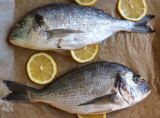 raw dorado fish with emon