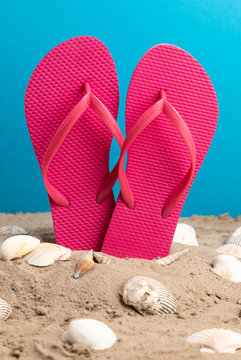 pink flip flops with blue background and shellfish