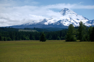View of Mt. Hood from across a field.