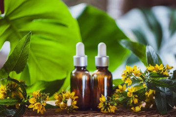 Bottles with St. John's wort extract and flowers Hypericum, organic cosmetics with herbal extracts