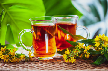 Herbal tea made from st. john's wort, organic tea with herbal Hypericum  extracts