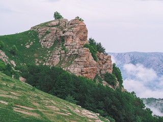 Fototapeta premium Mountains of the crimea and the green forest and village