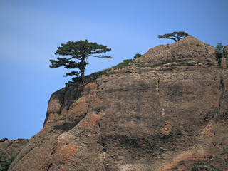 Mountains of the crimea and the green forest and village