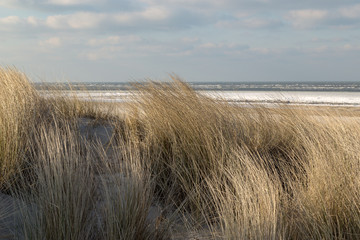 Strandhafer Strand, winter