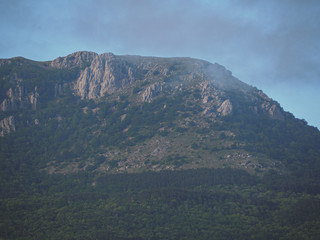 Mountains of crimea and the green forest