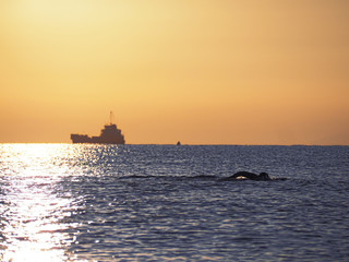 Ship at the sea during sunrise