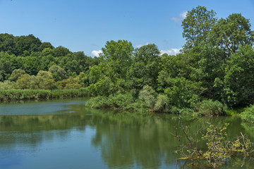 Landscape with green forest around Veleka Rvier, Burgas Region, Bulgaria