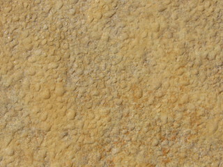 Water droplets on a stone tile table outside