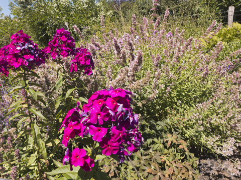Plox 이미지 – 찾아보기 18 스톡 사진, 벡터 및 비디오 | Adobe Stock