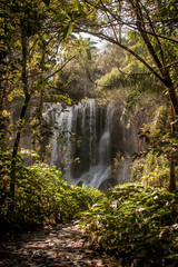 EL NICHO, CUBA - CIRCA 2012 - Appearance of El Nicho waterfall, at Guamuahaya mountains, Cuba in 2012. El Nicho is one of the most atractive destination on the area for national and foreign visitors.