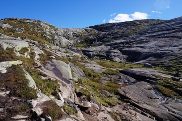 landscape