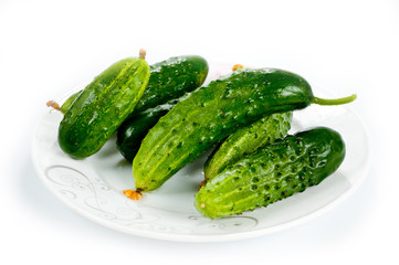 Green cucumbers bright and juicy shot on a white background
