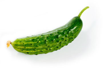 Green cucumbers bright and juicy shot on a white background