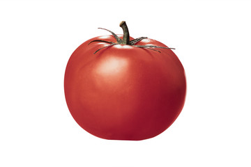 Tomato with clipping path Freshly cropped red tomato