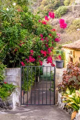Tuinposter Beautiful gate among Bougainvillea flowers in Icod de los Vinos, Canary Islands © szmuli