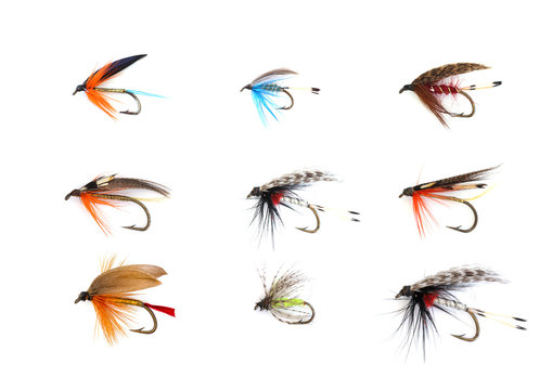 Assorted Flies