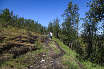 Fototapeta na wymiar Hiking people in north Sweden